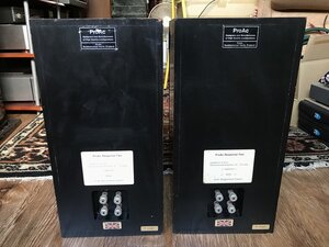 51306410228_28bef78563_z (1).jpg