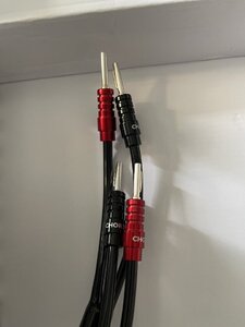 8F72EB77-2BDF-43E1-B8FC-6FC7AC081C17.jpeg