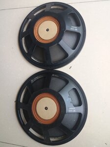 IMG_20221019_093442.jpg