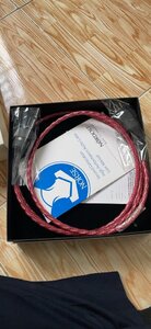 nordost cỏd.jpg