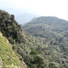 phuhaiphong