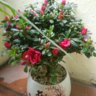 phunghung_79