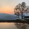 longquan