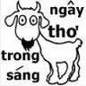 onggianhangheo