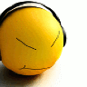 vanven