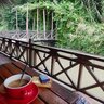 Trần Đức Tuấn