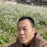 Vũ Đại